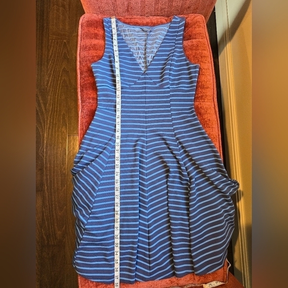 Peter Som Blue Striped Fit and Flare Sleeveless Dress Sz. 6 - Picture 10 of 11